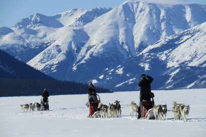 Half-day dogsledding tour, a “mush do” experience in the Yukon