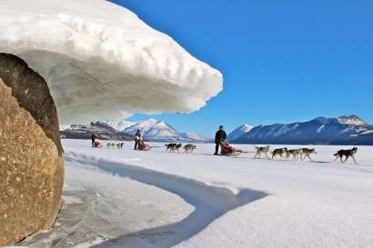 Overnight dogsledding tour