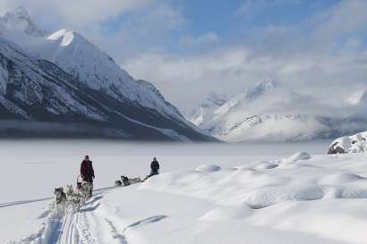 Boreal Kennels