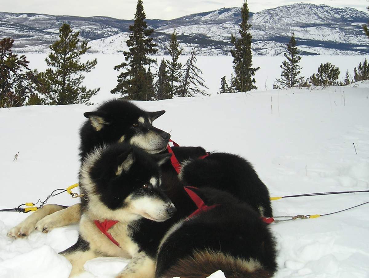 Cathers Wilderness Adventures