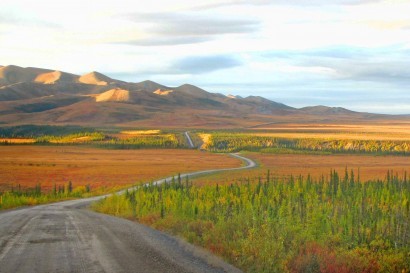 Arctic Circle Fall Safari