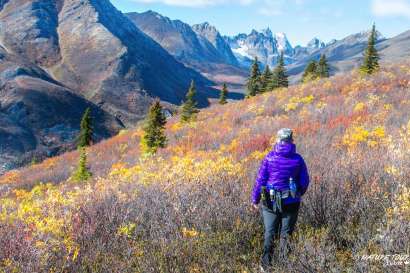 Nature Tours of Yukon
