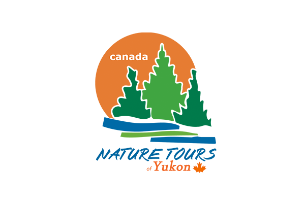 Nature Tours of Yukon Logo