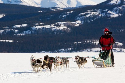 Dogsledding