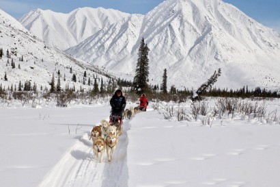 4-Day Taste of Mushing