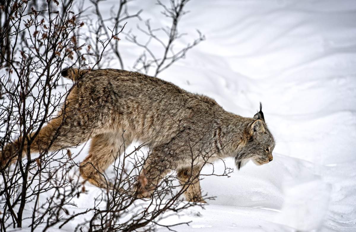 Sky High Wilderness Ranch