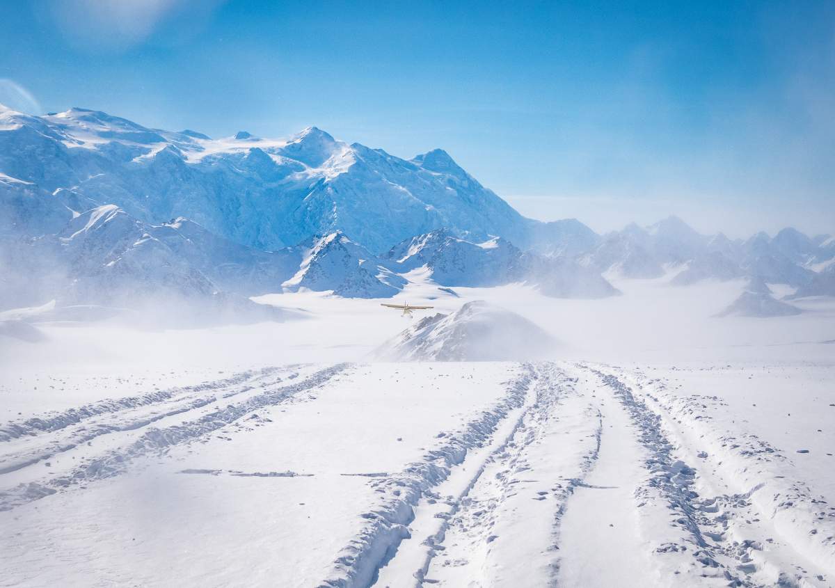 Icefield Discovery Tours