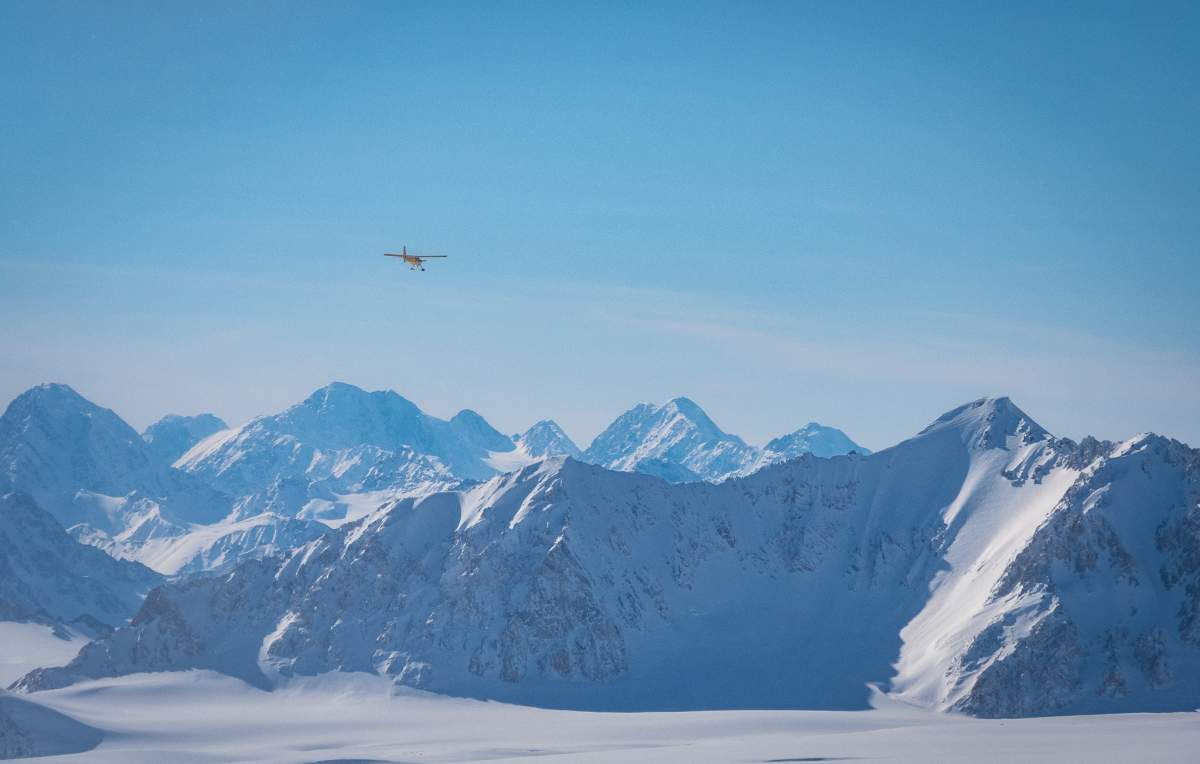 Icefield Discovery Tours