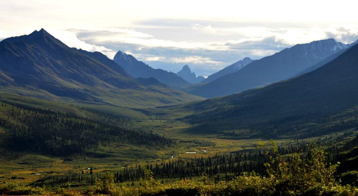 Yukon Tours