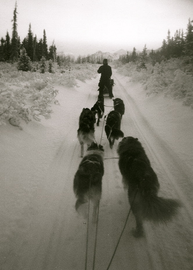 Yukon Tours
