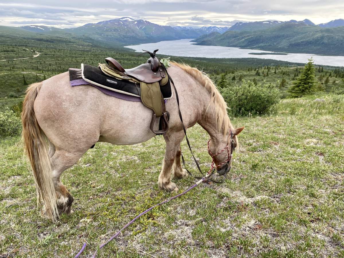 Yukon Tours