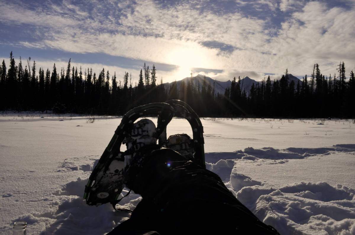 Yukon Tours