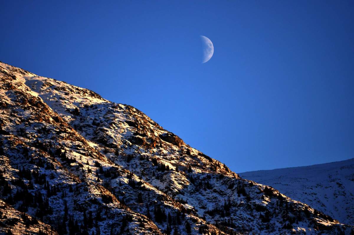 Yukon Tours