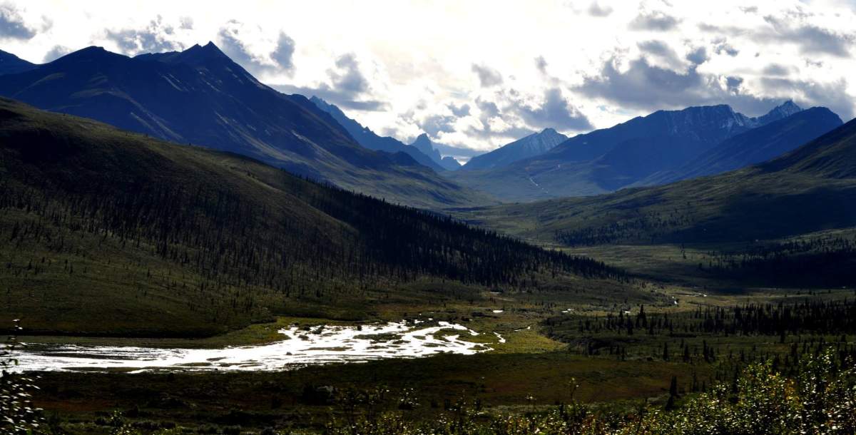 Yukon Tours