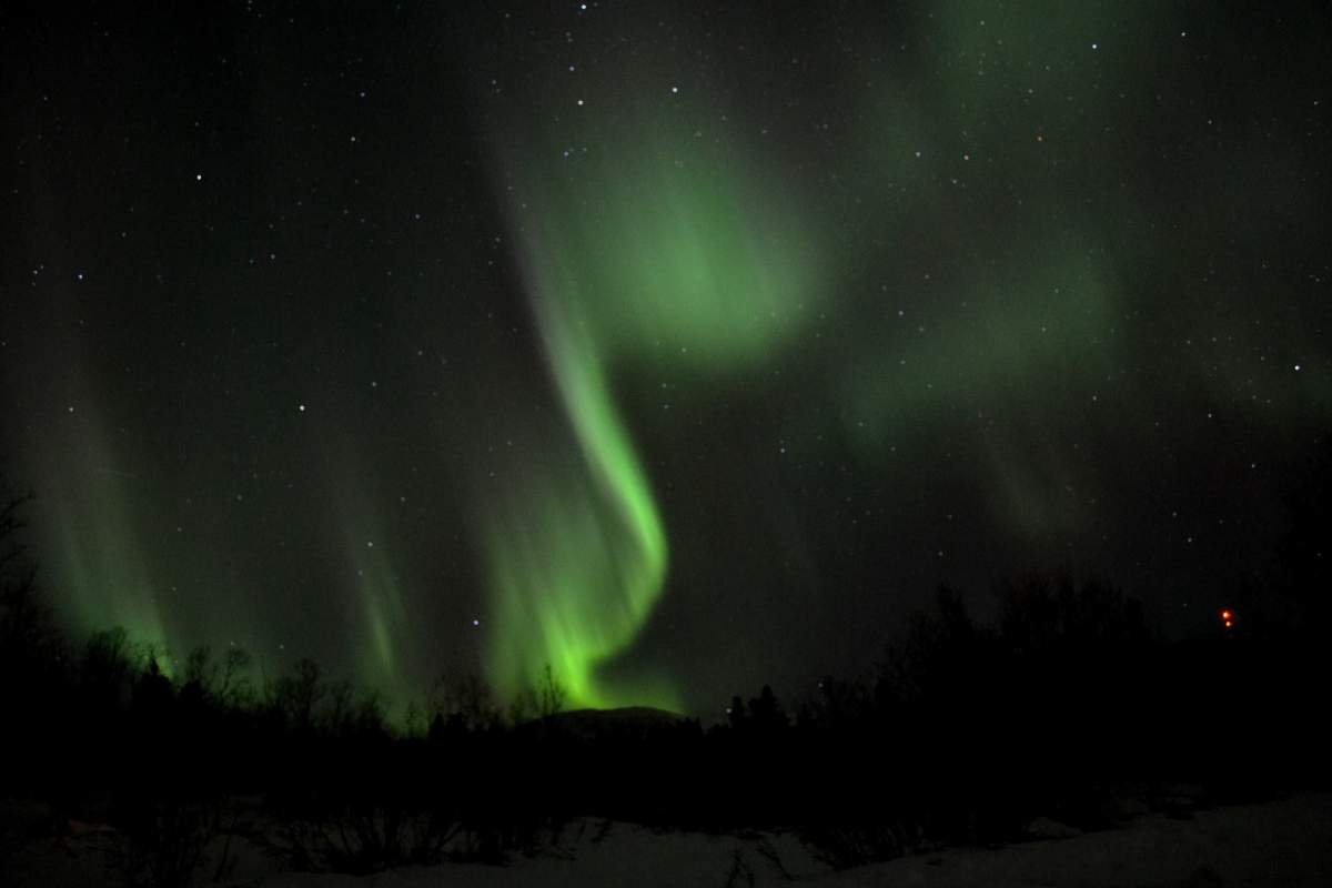 Yukon Tours