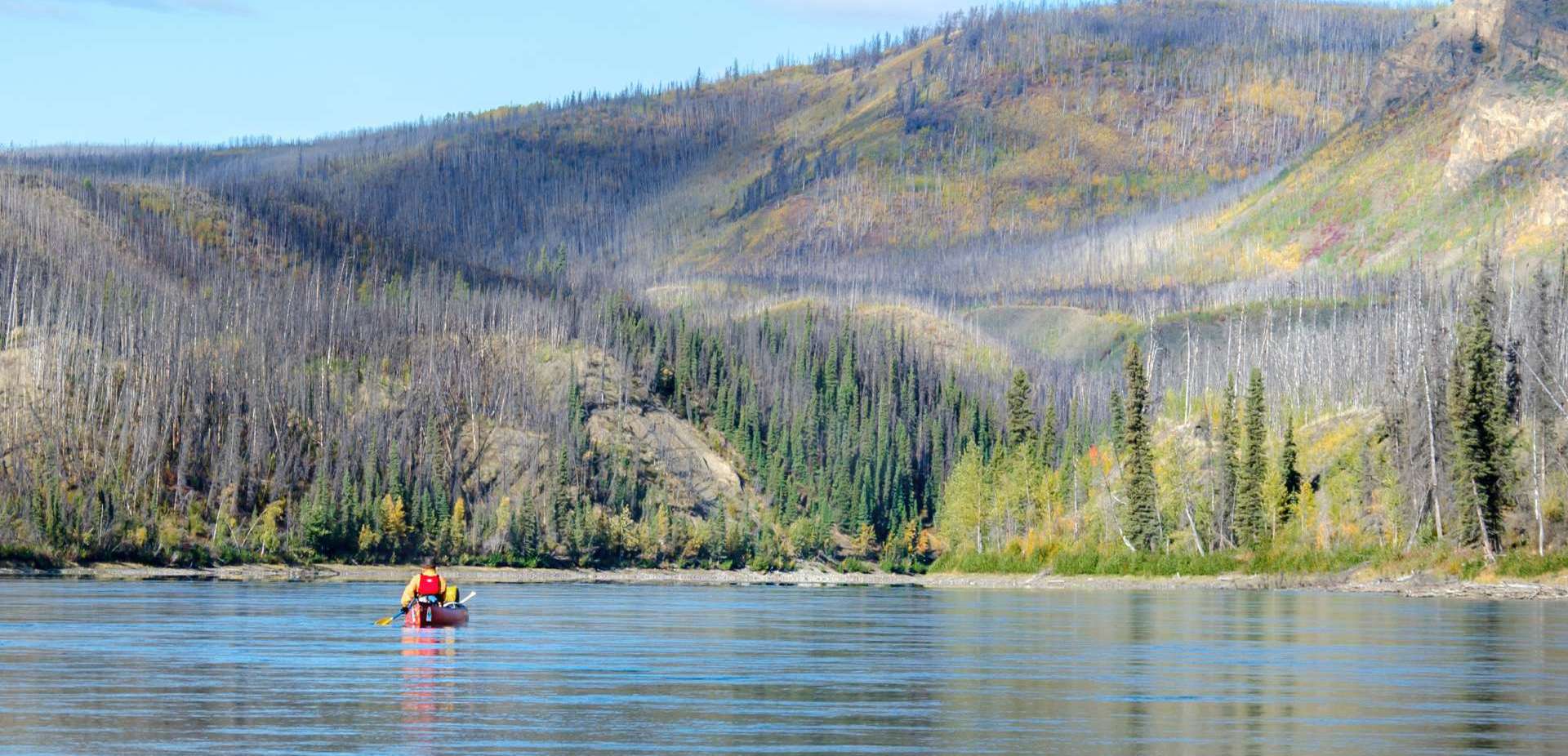 nature tours of yukon