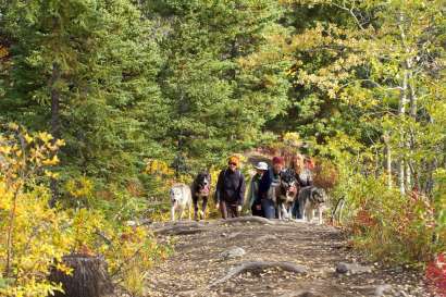 Full Day Hikes with our Companion Huskies